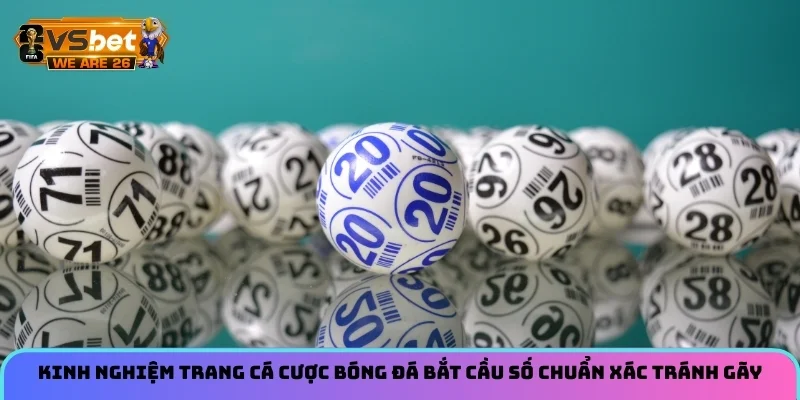 Bạch Thủ Lô Bắt Đúng Nhịp Cầu Nổ Giòn Giã Mỗi Chiều 3 Kinh nghiệm trang cá cược bóng đá bắt cầu số chuẩn xác tránh gãy